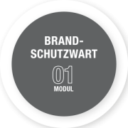 Icon für BSW - Modul 1
