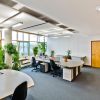 helles Büro mit grünen Pflanzen für gute Luft am Arbeitsplatz