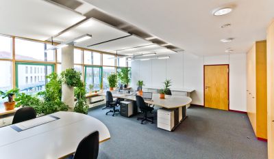 helles Büro mit grünen Pflanzen für gute Luft am Arbeitsplatz