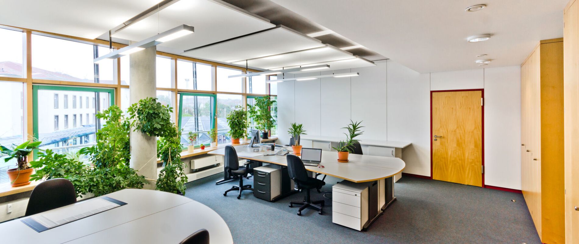 helles Büro mit grünen Pflanzen für gute Luft am Arbeitsplatz